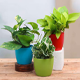 Seed Breed Landscape Nursery